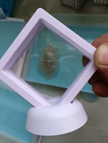 Thailands Buddhist high monk LP-kun is himself like a finished object