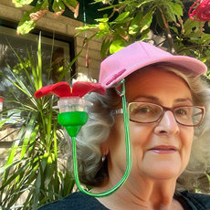 Кормушки hat clip hummingbird feeder 帽夹喂鸟器