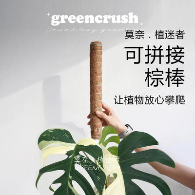 Special climbing plant climbing columns for hot planting, which can be spliced with brown rods, coconut threads, brown columns, handcrafted sphamoss columns and simple Velcro