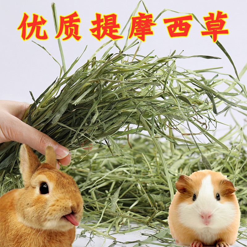 Guinea pig Dutch pig rat dragon cat bunny sky geranium grain herd grain feed ti Moshe grass timblegrass 200 gr