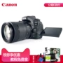 Máy ảnh DSLR kỹ thuật số Canon / Canon EOS 80D HD Đặt ống kính 18-135mm IS USM - SLR kỹ thuật số chuyên nghiệp máy ảnh kỹ thuật số canon