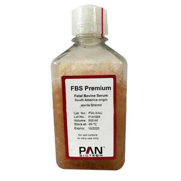 German PAN ST 30 - 2602 fetal ox serum 500ml embryonic stem cells
