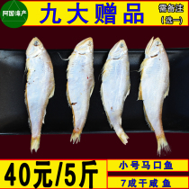 Wild small salted horse mouth fish Raw pickled yellow crucian carp Fresh salted hair buckle fish oil buckle fish flake fish thin crucian carp