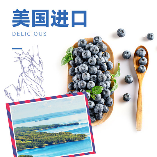 Wolong blueberry dried fruit 12 packs of baking ingredients specialty office snacks candied blueberry dried fruit specialty 300g