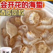 Wild Sea Jellyfish Flower Jellyfish Dalian Terrendement Bucks 4 catty Cold Vegetable Hotels Cured Salted Salted Non Ready-to-eat