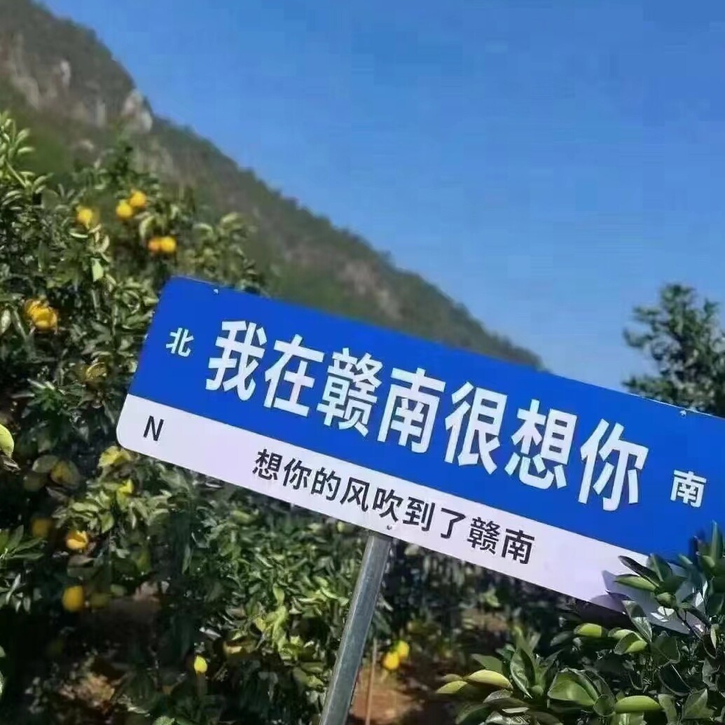 橙优干果