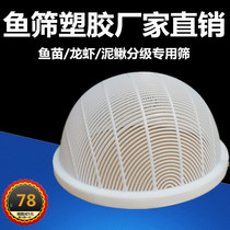 Plastic Fish Sieve Fish Fry Fry yellow pelteobagrus fish loach lobster prawns Size graded plastic sieves sorting sorting sieves