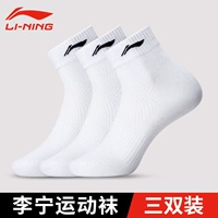 White 3 Dual-Pack [AWSP349/AWSR270/YWTU045]