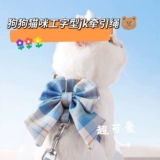 Кошка привела веревку JK Bow и вырвайтесь на свободу от шрифта для маленького и среднего собачьего колледжа