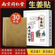 Wormwood ginger paste ginger fever therapy paste old ginger to remove dampness and cold moxibustion shoulder and neck paste shoulder pain joint pain plaster paste