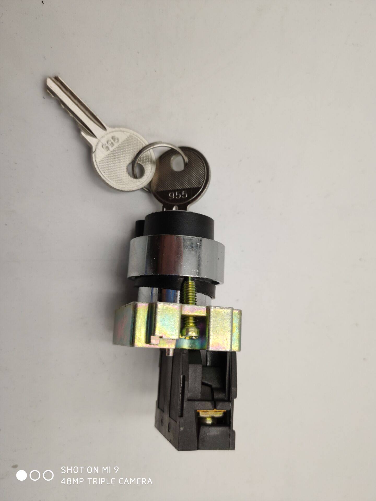 Zhengtai self-locking button switch with key NP2-BG21 XB2-BG21 NP2-BG33 BG25