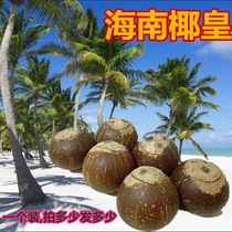 (Pre-opening) Hainan Fresh Coconut Royale Coconut King Raw Only Coconut Juice Stew Soup Coconut Rice Jelly Stew