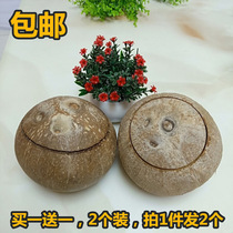 (Pre-opening) Hainan Fresh Old Coconut King Raw Only Coconut to simmer with broth coconut Coconut Juice for a One-to-One-One-One-One-One-One-One-One