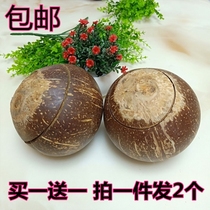 Pre-opening] Hainan Fresh Coconut Palm kings original coconut simmer broth coconut rice to simmer the broccoli