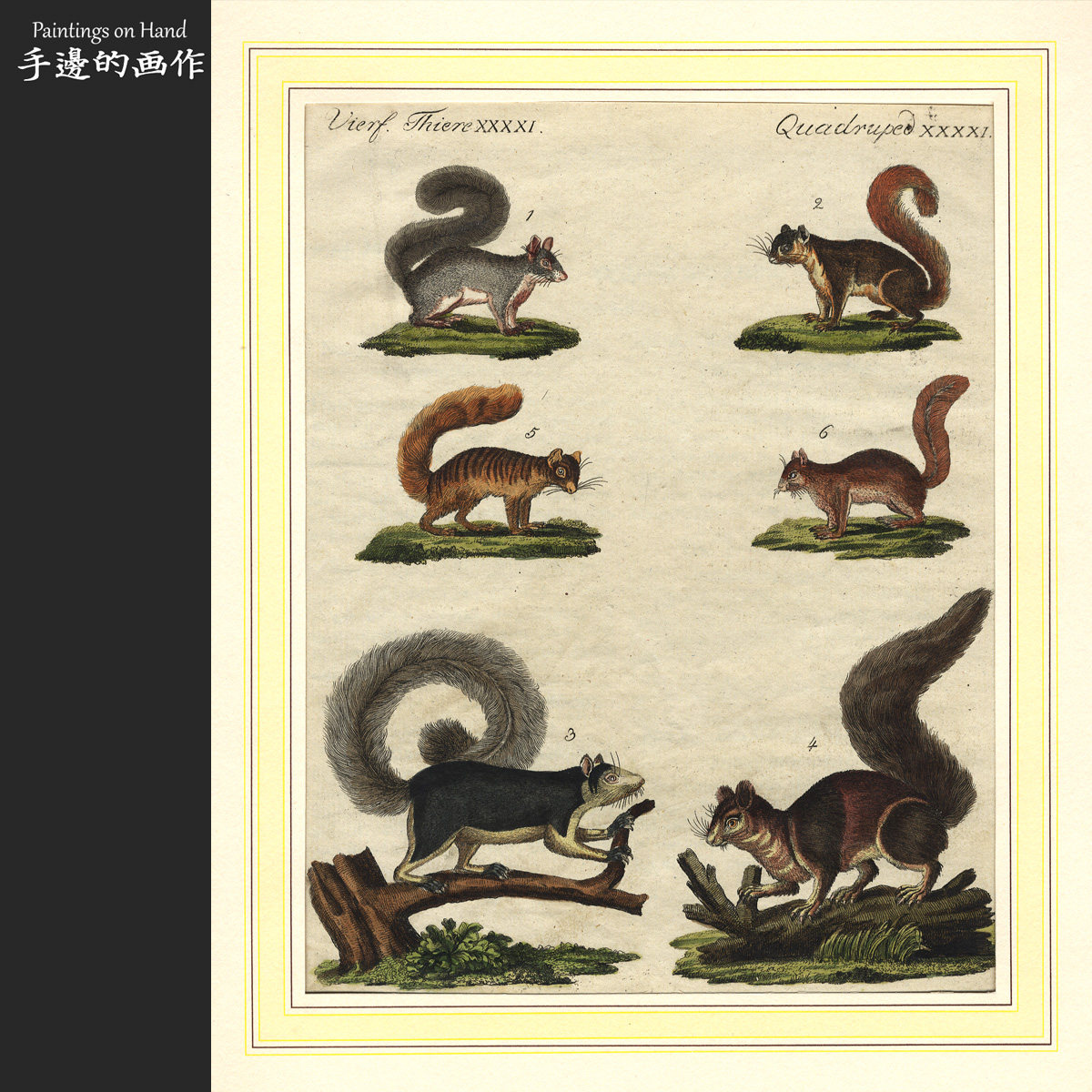 German antique handmade in 1790 Painted Bronze Prints Bots Encyclopedia of the Antique Painting Core Squirrel-Taobao
