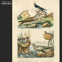 Français 1830 gravure couleur à la main graver bronze estampes Botworm art de Saini soie dor