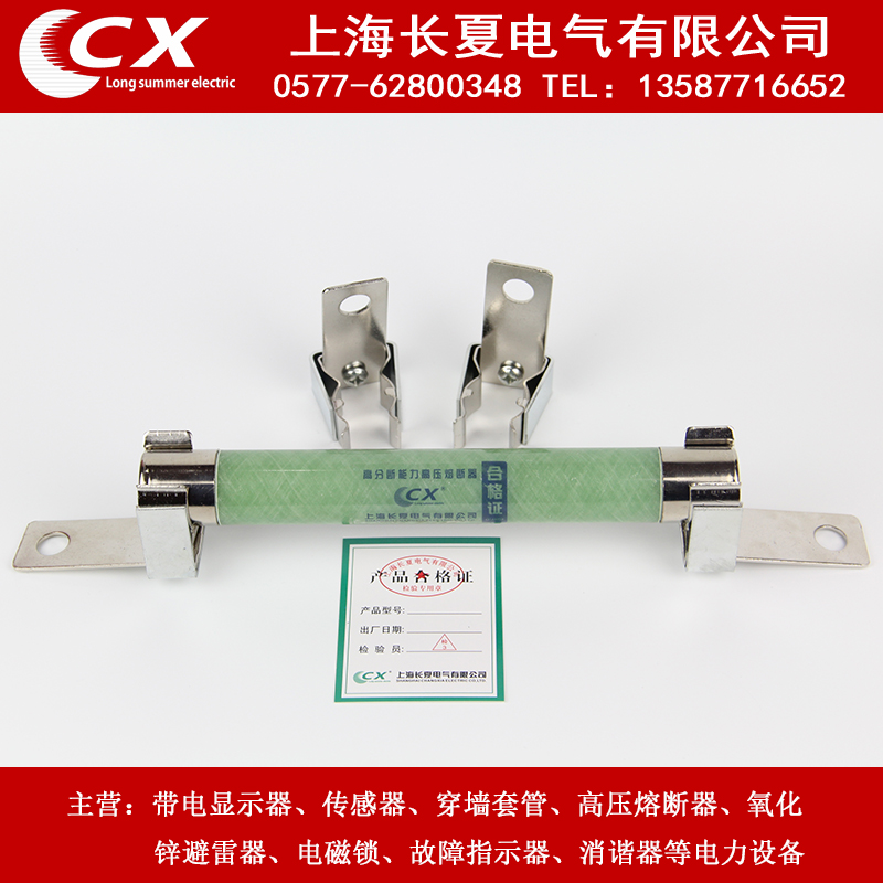 High Voltage Fuse Voltage Transformer XRNP1-10 12KV 0.5A 1A with clip