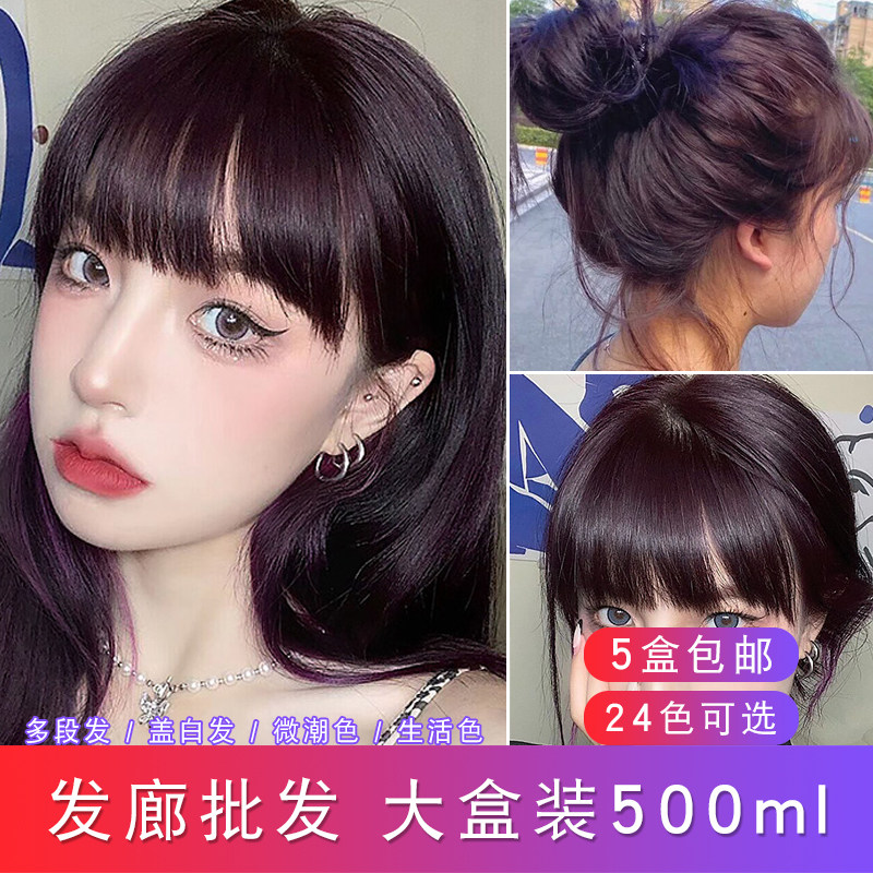 Hairdressershop Special Large Box Dyeing Cream Hair Salon Single Branch Microtide Color Hair Dye Professional Cover White Hair Dye Hair Cream 500ml