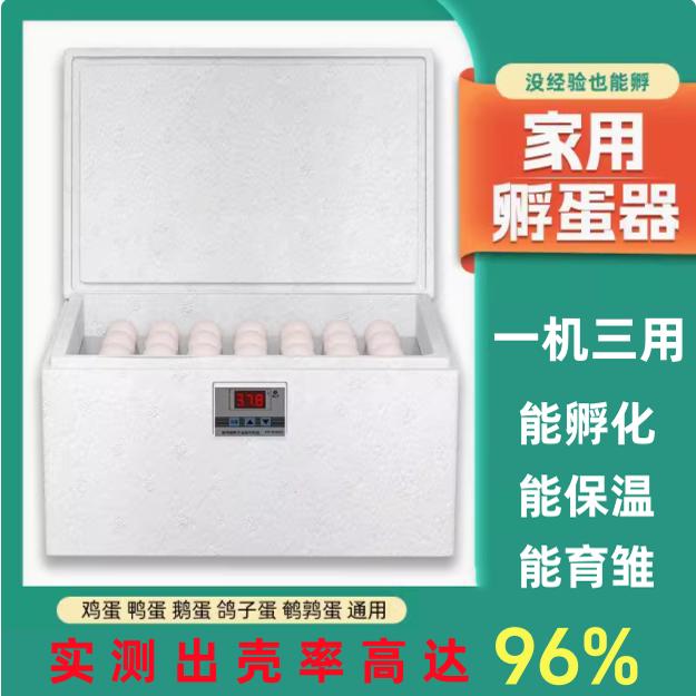 揭秘智能孵化箱:把温暖送到每一个家庭角落