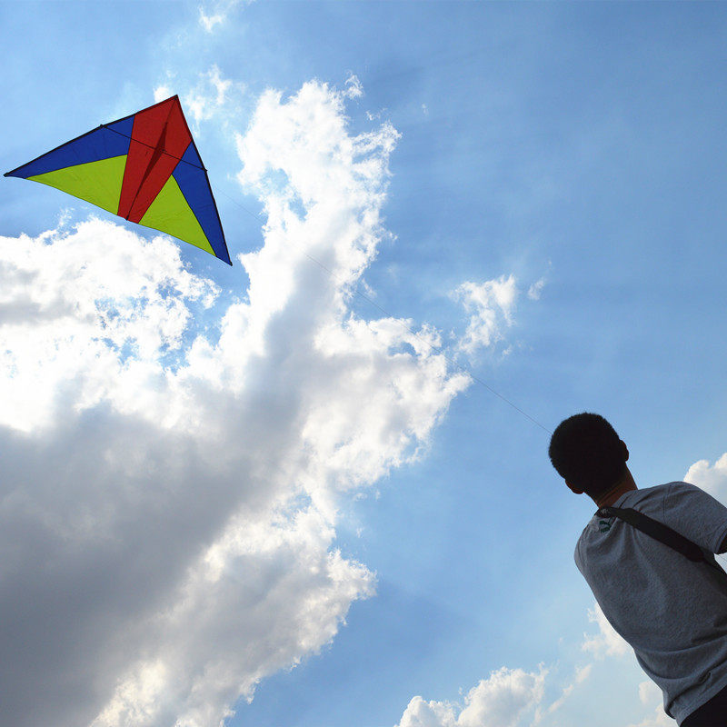 King's Throne Kite 544 Air Soft Parachute Cloth Carbon Pole Breeze Three-color Triangle Good Flying Weifang Special Produce