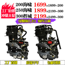 Xuwei tricycle 200 250 tsunami water-cooled 300cc Hanwei water-cooled engine assembly new nose