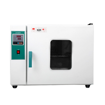 Electric constant temperature blast drying oven laboratory industrial oven constant temperature oven vacuum blast drying box