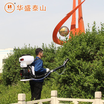 Huasheng Taishan motor sprayer 3WF-20B Knapsack sprayer Powder spraying machine Health epidemic prevention disinfection and killing