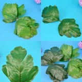 Активность-2 листовые листья зеленые чулки