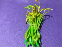 Большой лилии щупальца 1 (зеленый) (зеленый)