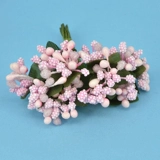 Заявление с чистями цветочных материалов.