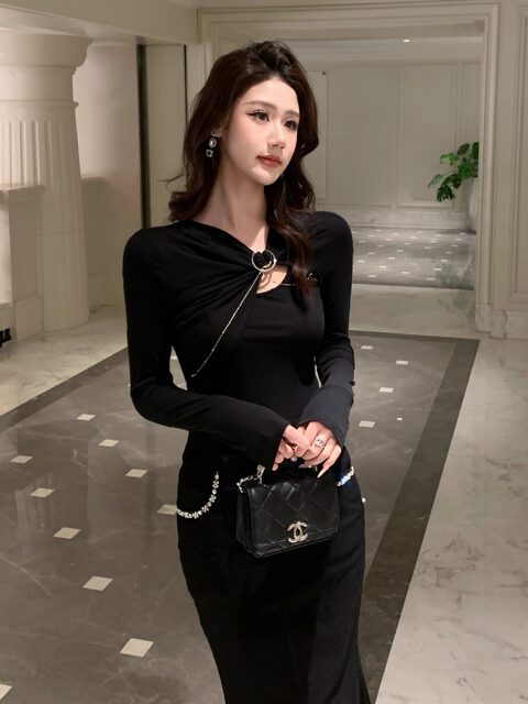 Hollinna Knitted T-Shirt for Women, Spring and Autumn 2025 New Style, Long-Sleeved, Waist-Cinching, Slimming Design, Stylish Top, Base Layer Shirt for Women