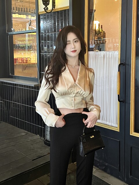 Hollin Long-Sleeved Acetate Satin Shirt for Women Spring & Fall 2025 New Design Niche V Neck Short Shirt