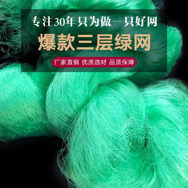Fishing net green wire mesh sticky net thickened 100 meters sinking net crucian carp net dipping net hanging net fishing net floating net three layers of fishing net
