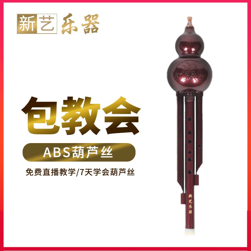 New Art ABS Flash Purple Gum Wood Hulusi Instrument C Cut B Tune Student Adult Children Beginology Starter Musical Instrument