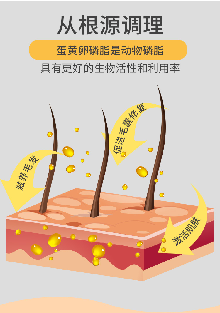Lòng đỏ trứng lecithin snack dinh dưỡng kem làm đẹp tóc bột Teddy mèo hỗn hợp thức ăn cho chó đối tác lòng đỏ trứng bánh sữa dinh dưỡng - Cat / Dog Health bổ sung sữa cho chó mẹ và chó con