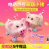 Electric voice control Meng Meng pig can walk can turn upside down Standing walking Light music Baby children children toys