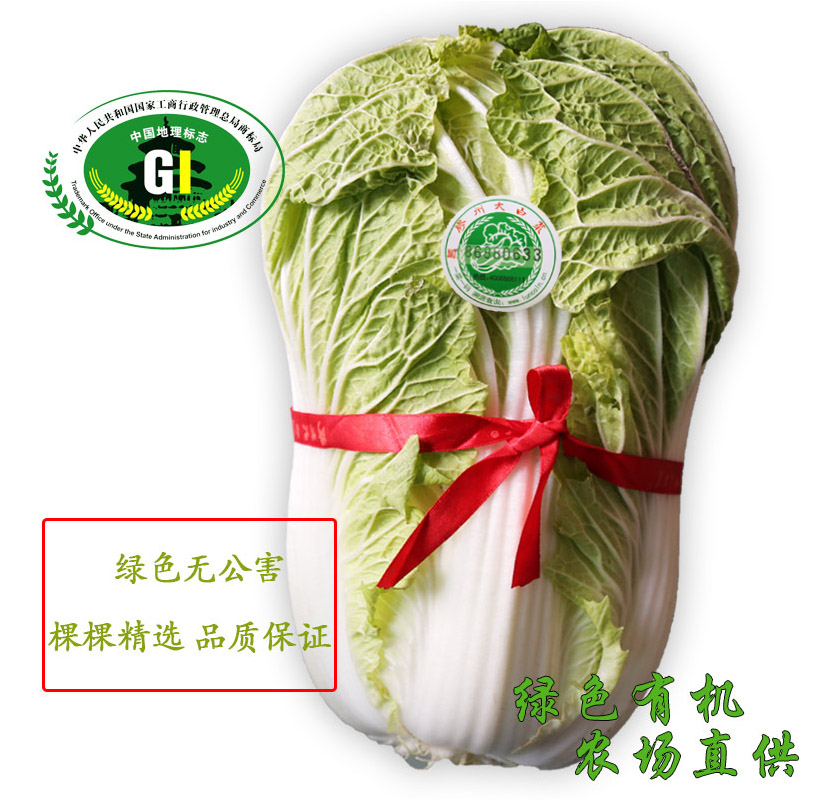 Shandong Qingdao specialty authentic Jiaozhou Chinese cabbage glue White about 5kg straight hair fresh peeling