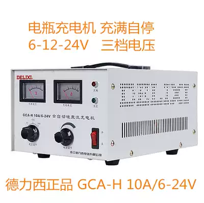 Delixi car battery full copper Charger Battery Charger GCA-H10A6 12 24v full self stop
