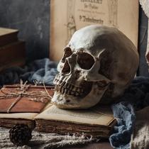 Retro skull ornaments simulation human skull model Halloween window bar display decoration photography props