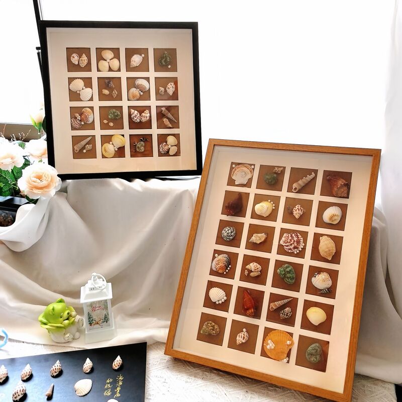 Three-Dimensional Hollow Picture Frame Multi-Grid Cardboard Photo Frame DIY Handmade Shell Small Conch Dried Flower Seed Specimen Frame