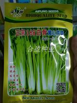 10g 50g Guangdong Aipunong authentic 168 white bone yellow heart celery seeds