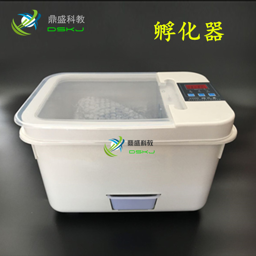 孵化器 J27010 生物教学用 新品 实验器材 教学仪器
