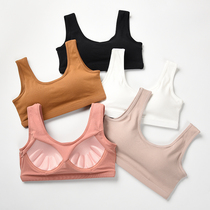 One-piece small vest with chest pad and chest wrap base shirt gathering underwear female students anti-light bra