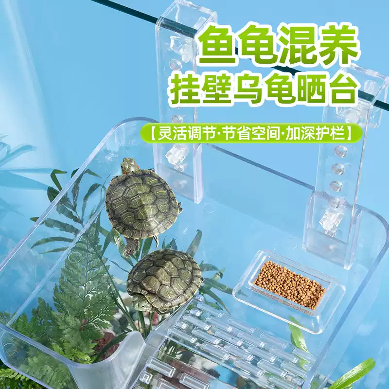 图片10