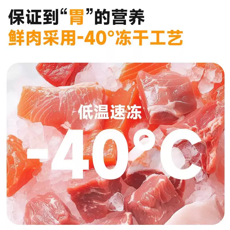 图片15