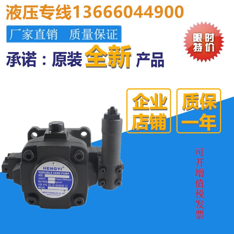 Taiwan HENGYI Variable Blade Pump VCM-SM-30A 30B-20 VCM-SM-40B 40B 40A-20 Oil Pump