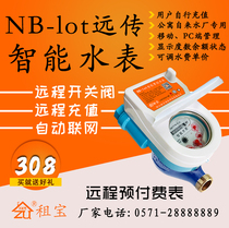 NB smart water meter 4G electricity meter prepaid mobile phone remote control home rental apartment school Rent Treasure original