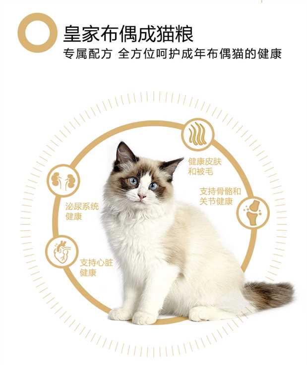 Thức ăn cho mèo hoàng gia RA32 mèo con mèo đặc biệt thức ăn cho mèo 2kg vào thức ăn cho mèo lông dài thức ăn tự nhiên cho mèo - Cat Staples thức ăn hạt cho mèo