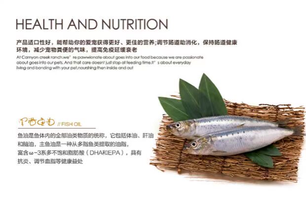 Sức mạnh của mèo sói thức ăn 10 kg KG cá biển đi lạc mèo trong nhà mèo chống lông bóng ngoài tóc sáng mùi 22 tỉnh - Cat Staples thức ăn cho mèo 2 tháng tuổi