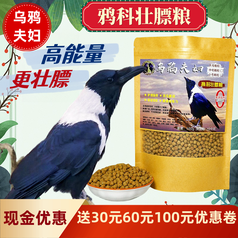 カラスのカップル、換羽、太る、カラス、鳥の餌、ワタリガラス、シロクロガラス、アカハシガラス、餌、鳥の餌